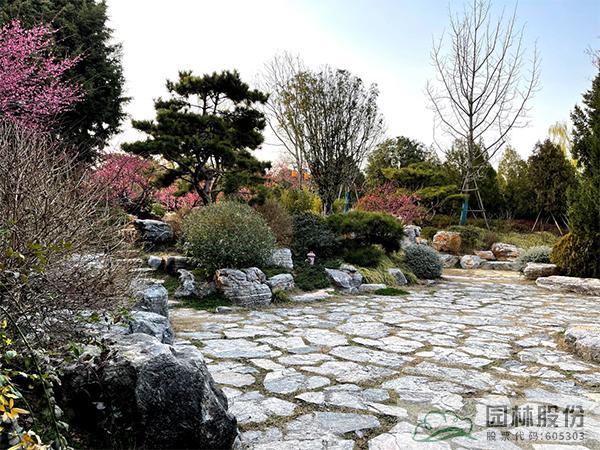 电竞比赛押注app