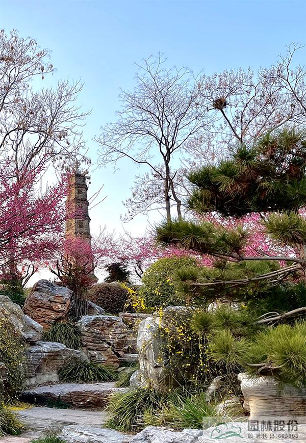 电竞比赛押注app