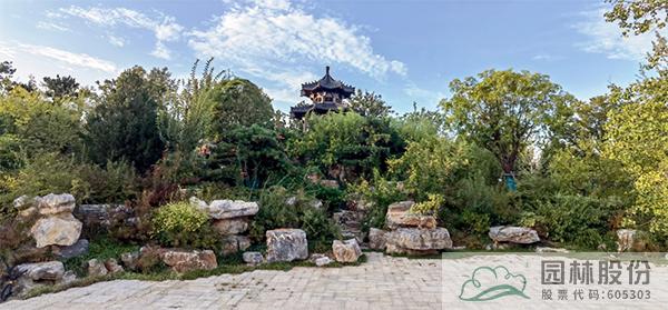 电竞比赛押注app