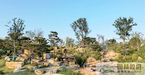 电竞比赛押注app