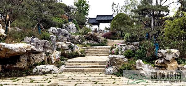 电竞比赛押注app