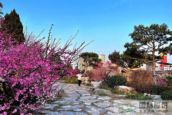 电竞比赛押注app