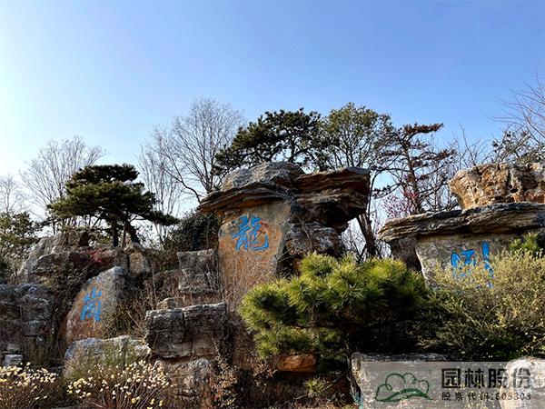 电竞比赛押注app