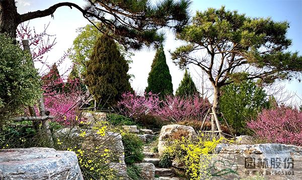 电竞比赛押注app