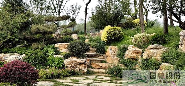 电竞比赛押注app