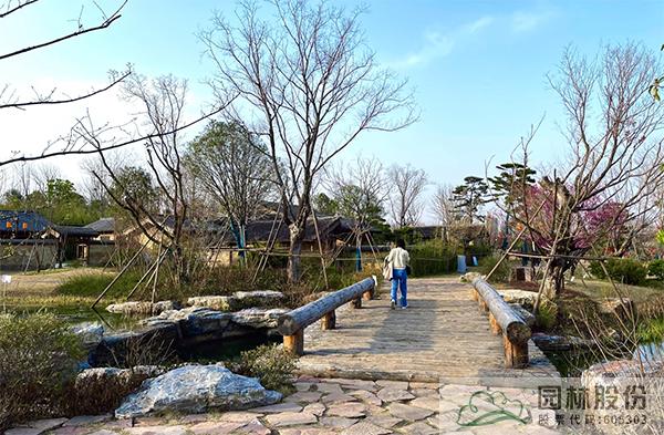 电竞比赛押注app