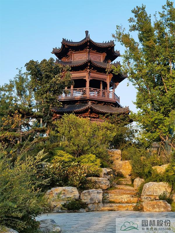 电竞比赛押注app