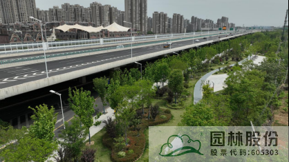 电竞比赛押注app