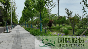 电竞比赛押注app