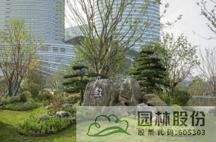 电竞比赛押注app