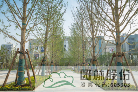 电竞比赛押注app