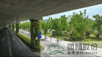 电竞比赛押注app