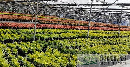 电竞比赛押注app