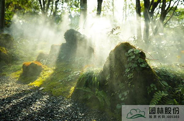 电竞比赛押注app