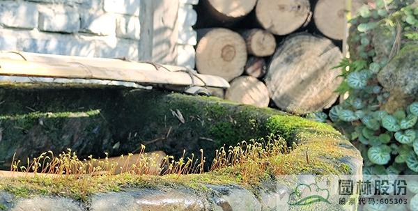 电竞比赛押注app