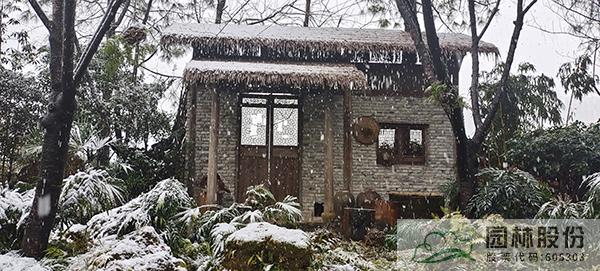 电竞比赛押注app