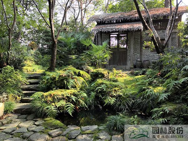 电竞比赛押注app