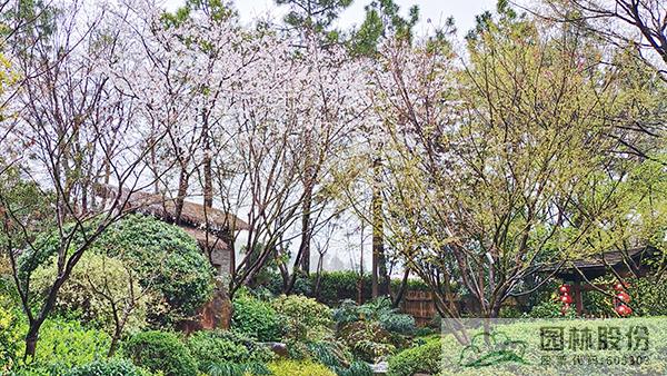 电竞比赛押注app