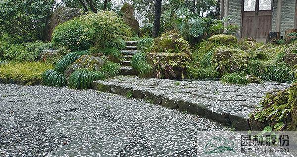 电竞比赛押注app