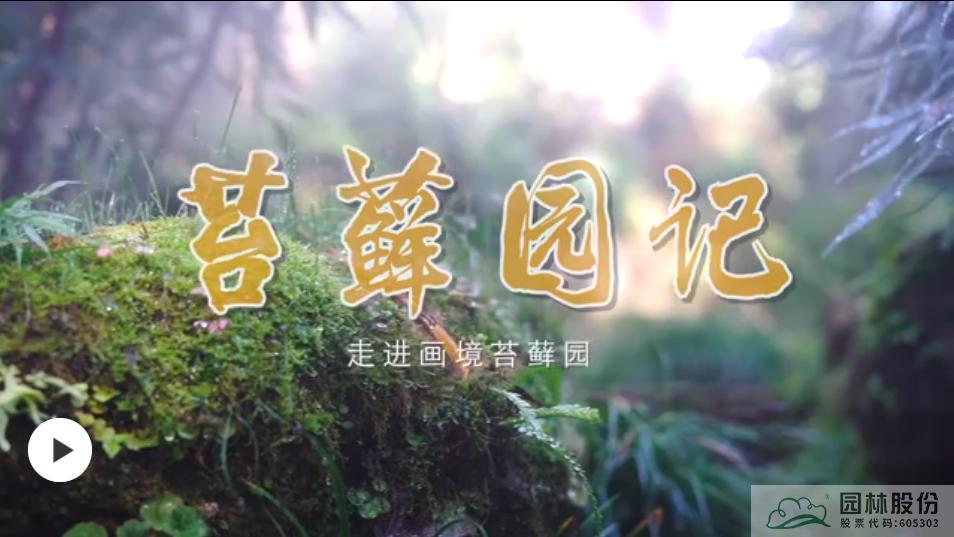 电竞比赛押注app