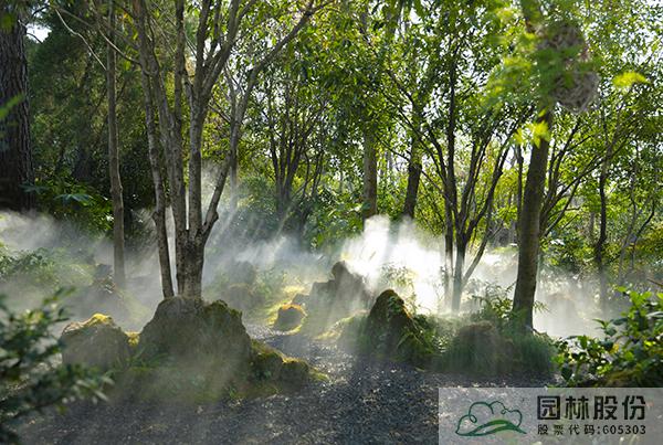 电竞比赛押注app