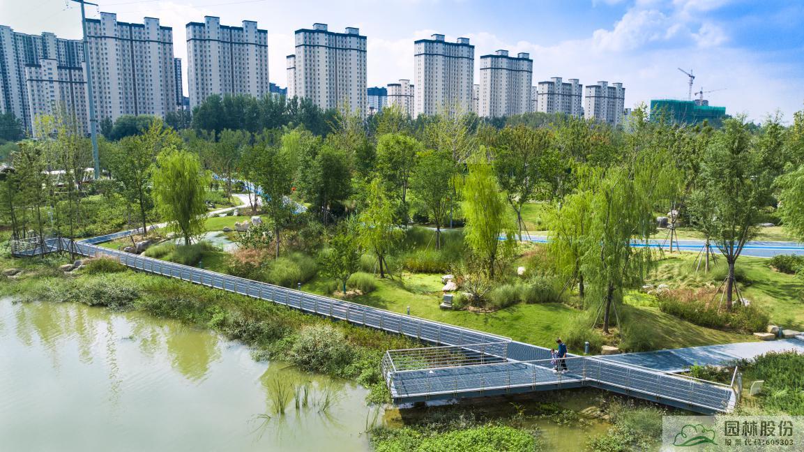 电竞比赛押注app