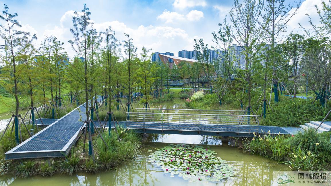 电竞比赛押注app