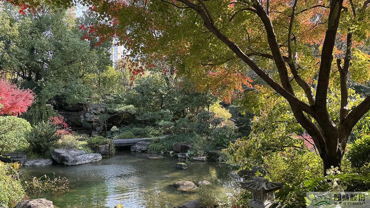 电竞比赛押注app