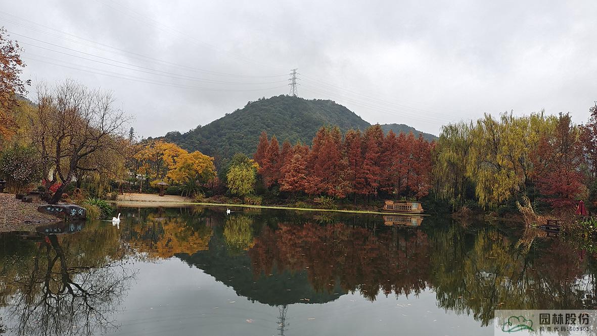 电竞比赛押注app