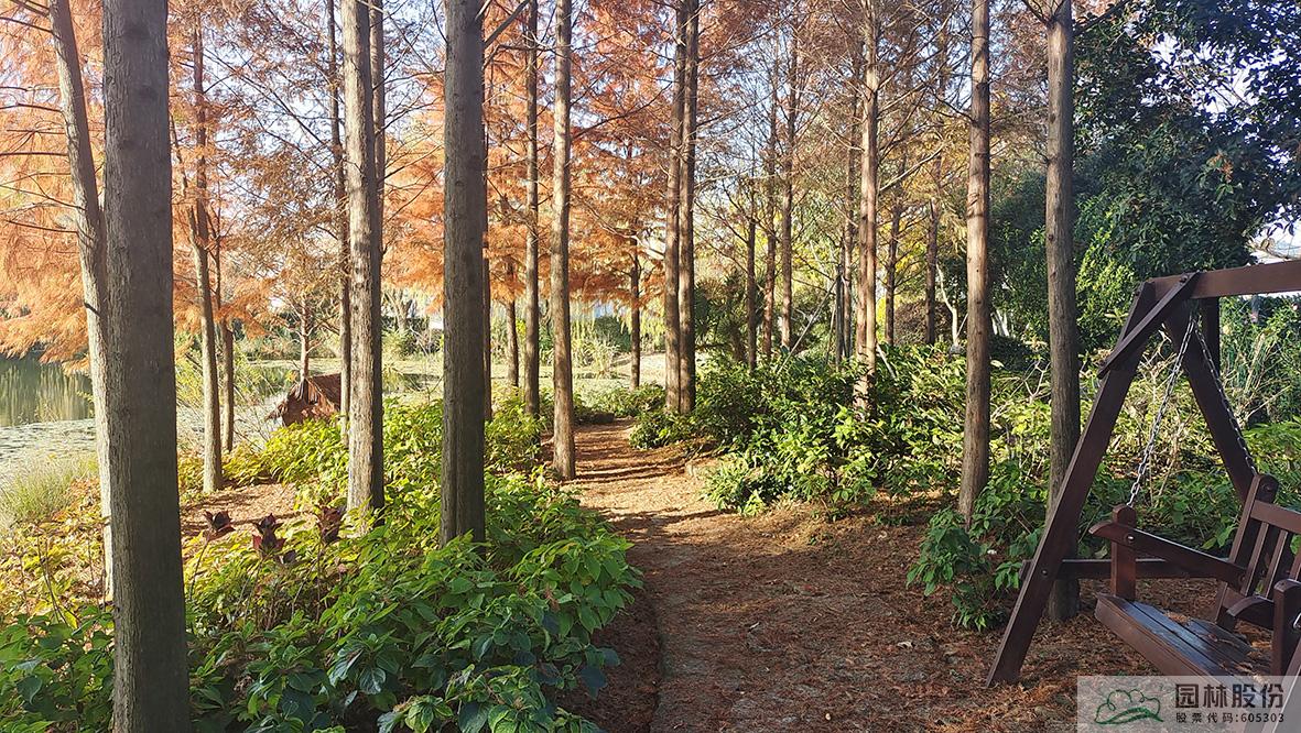 电竞比赛押注app