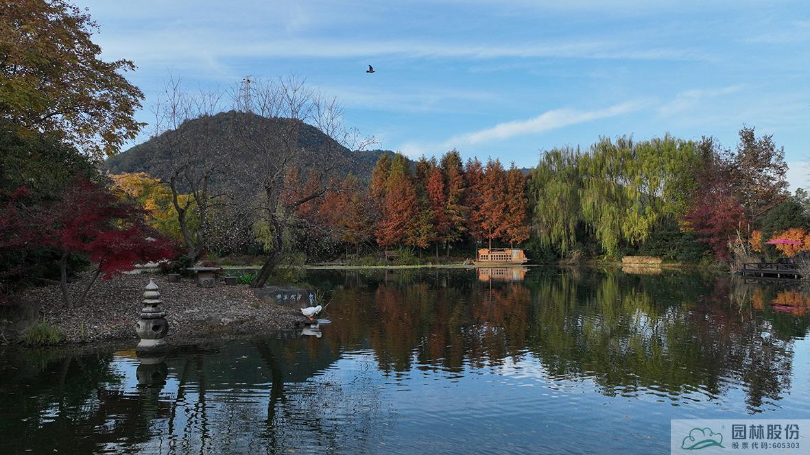 电竞比赛押注app