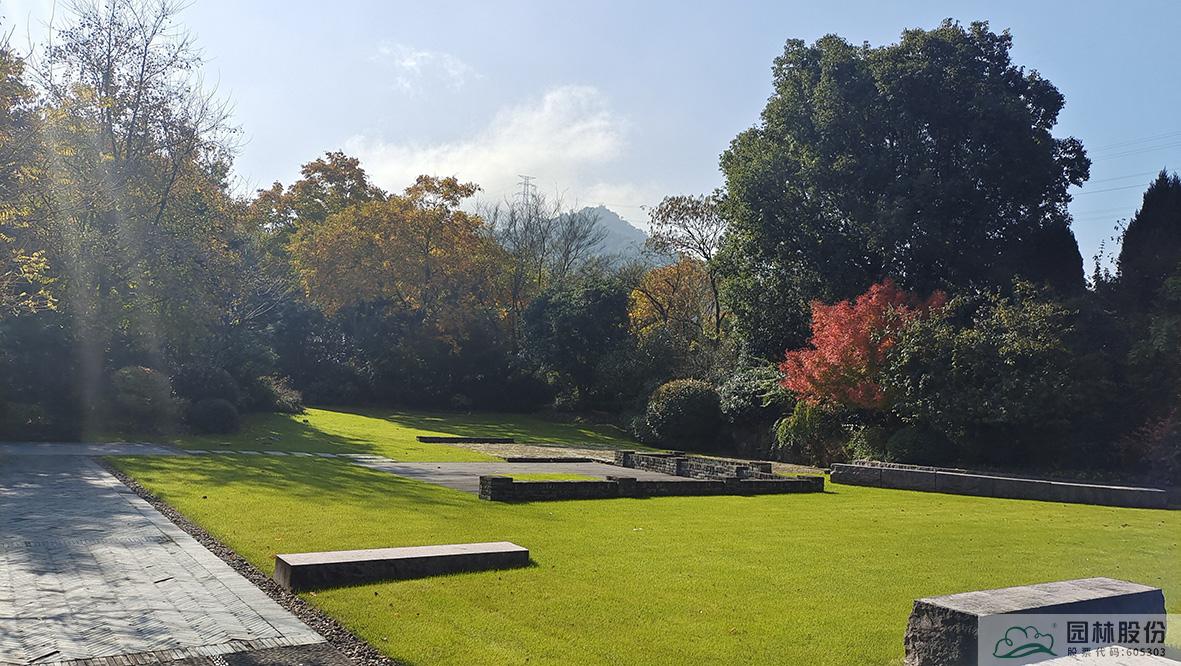 电竞比赛押注app