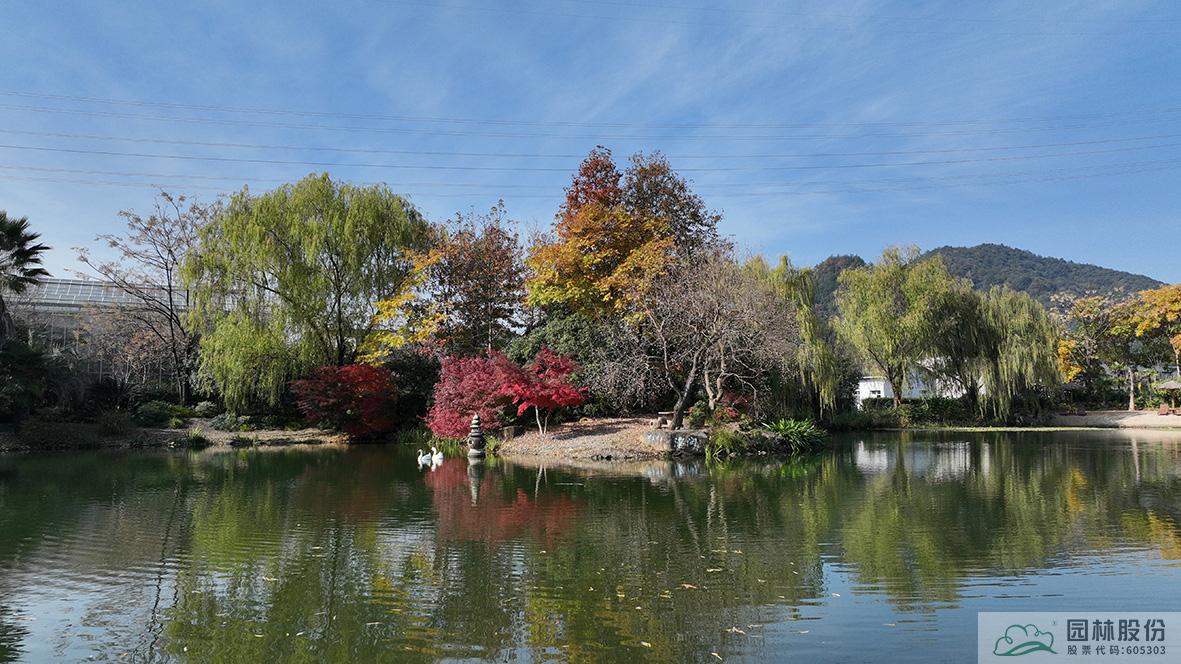 电竞比赛押注app