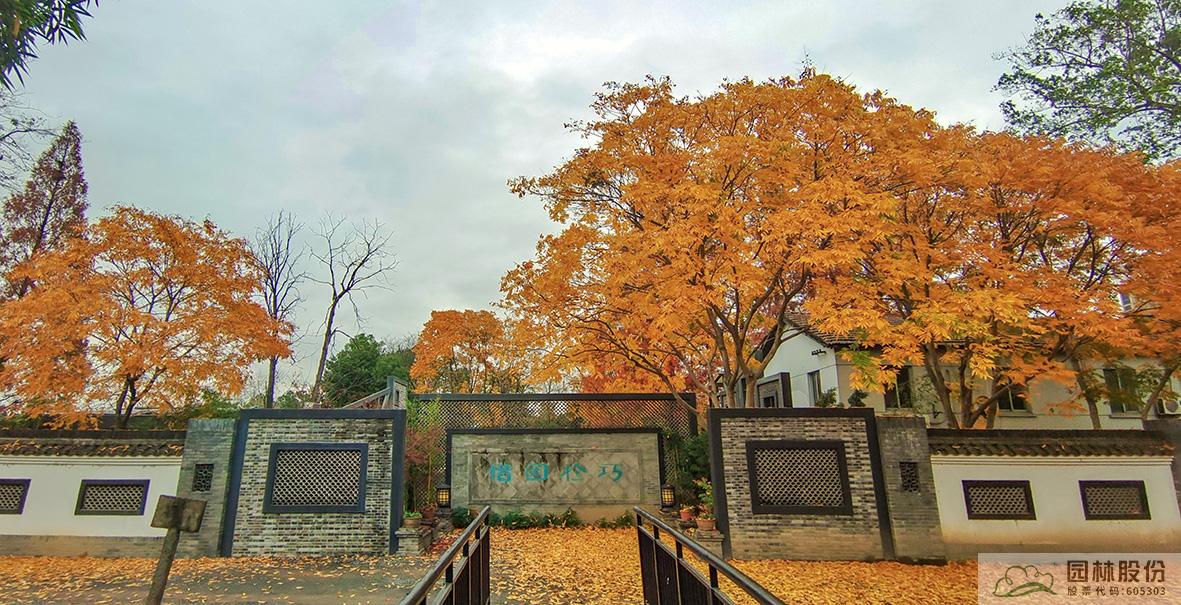 电竞比赛押注app