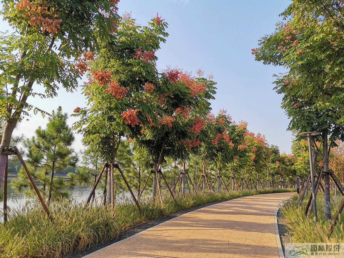 电竞比赛押注app