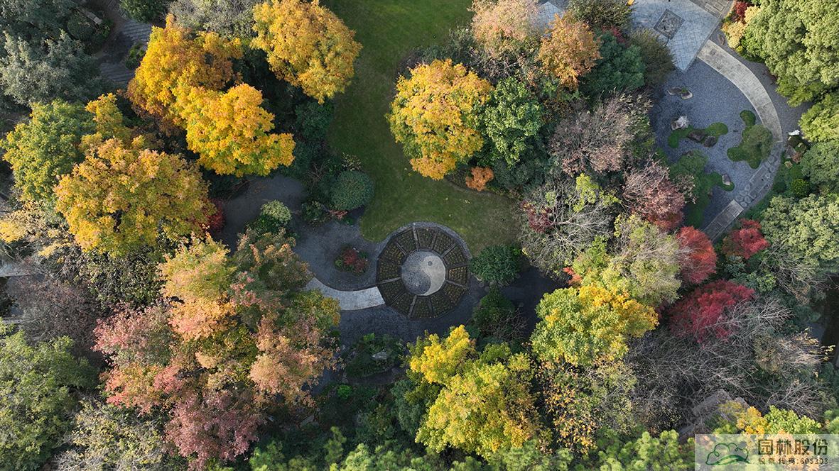 电竞比赛押注app