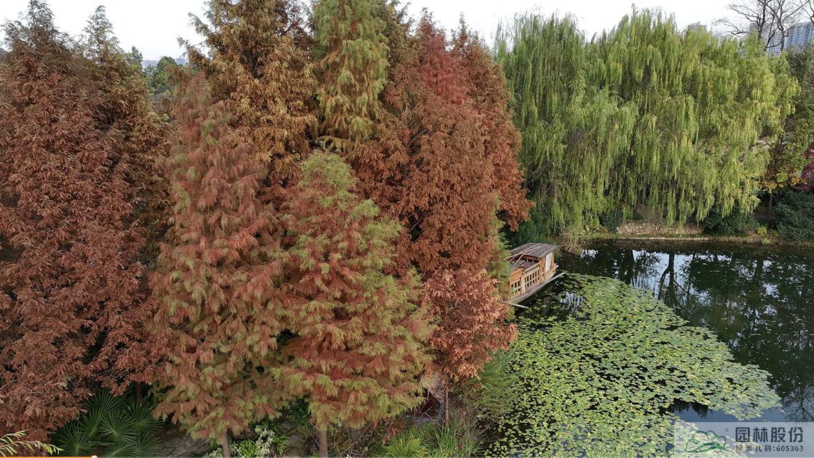 电竞比赛押注app