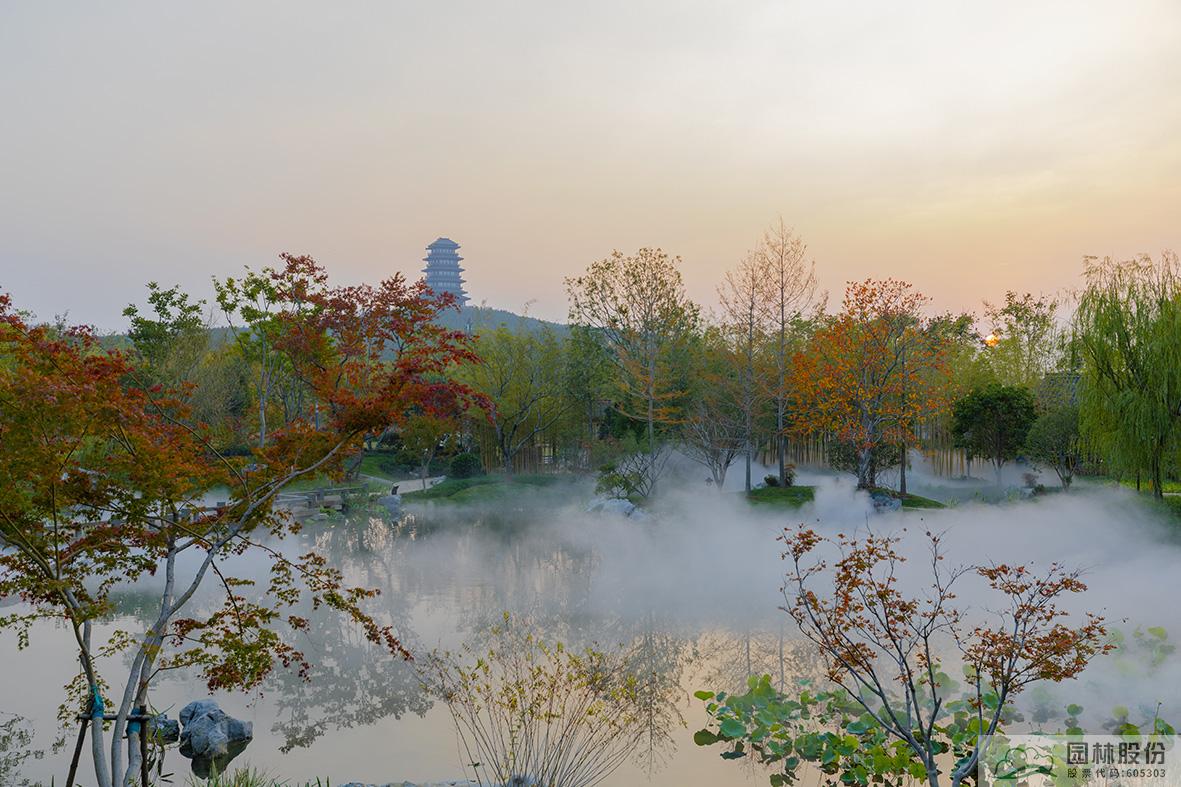 电竞比赛押注app