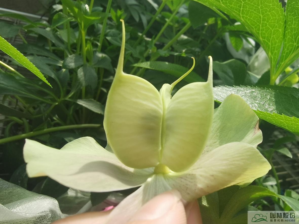 电竞比赛押注app