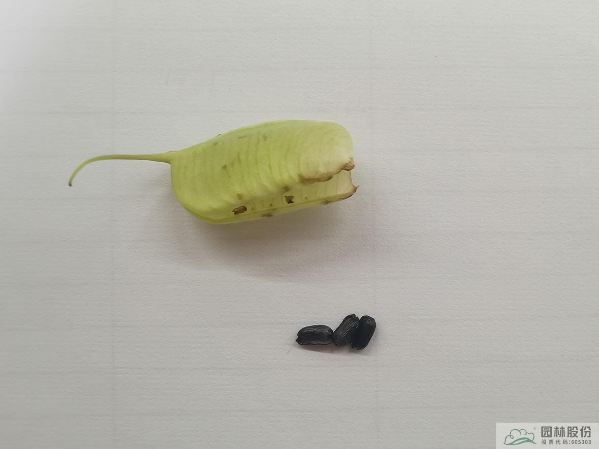 电竞比赛押注app