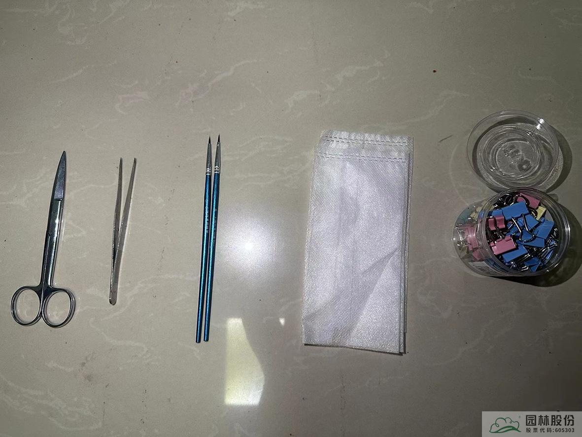 电竞比赛押注app