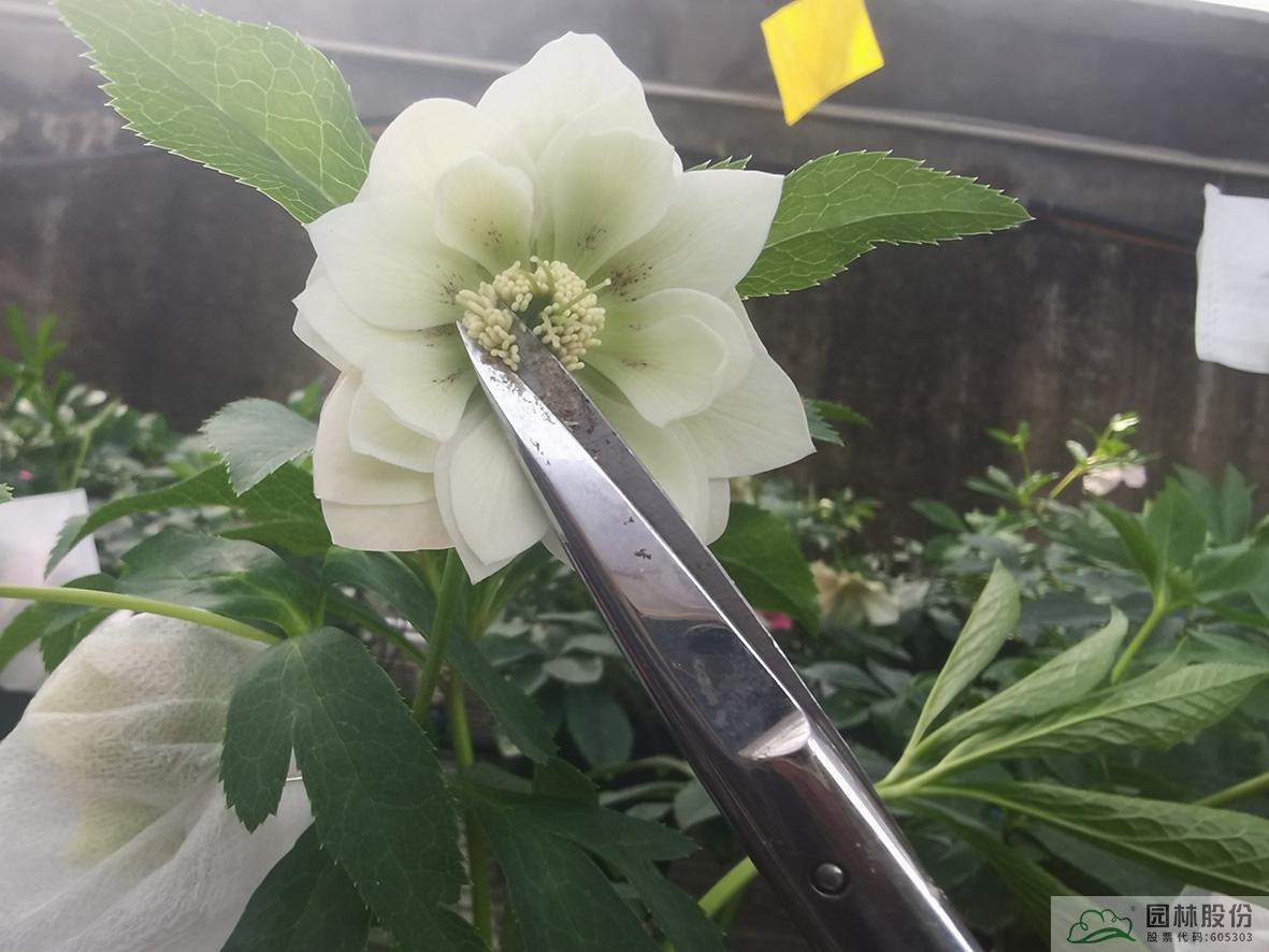 电竞比赛押注app