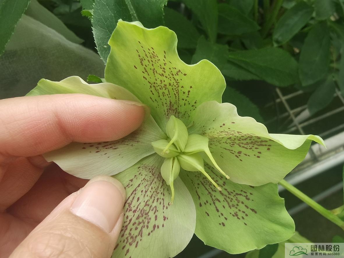 电竞比赛押注app