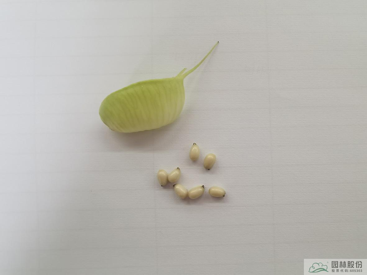 电竞比赛押注app