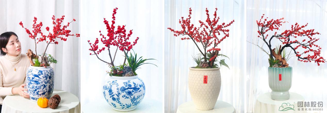 电竞比赛押注app