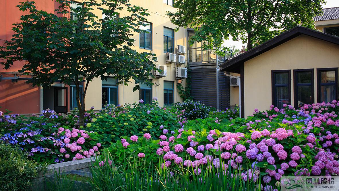 电竞比赛押注app