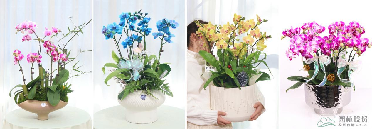 电竞比赛押注app