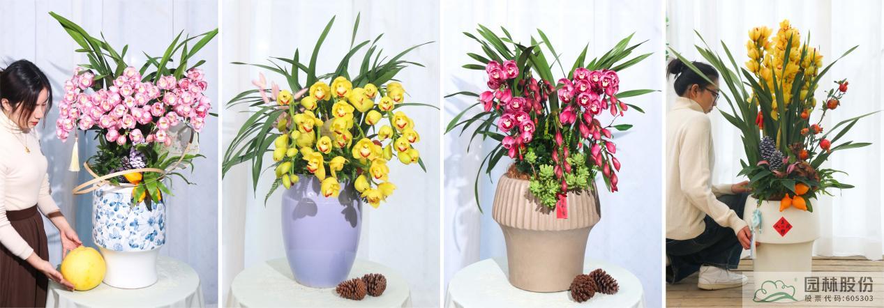 电竞比赛押注app