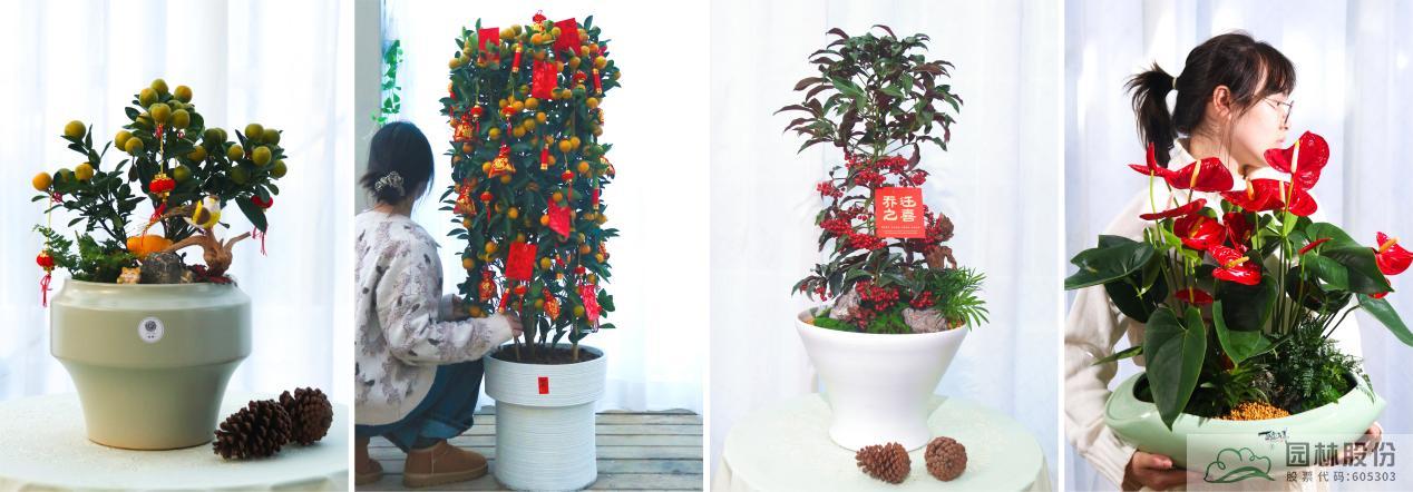 电竞比赛押注app