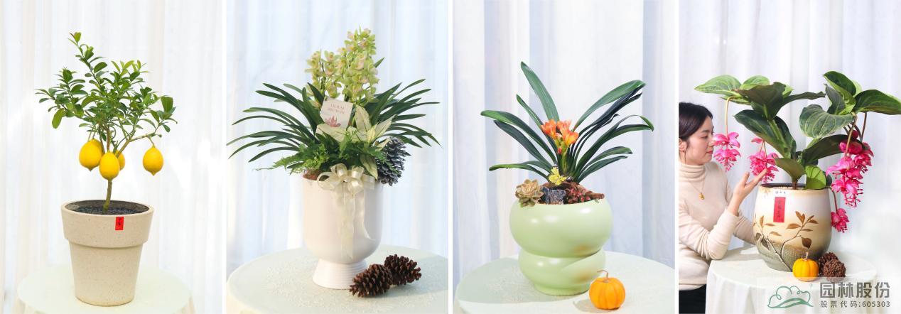 电竞比赛押注app